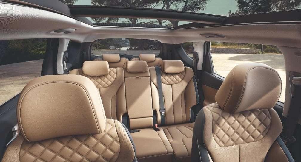 Hyundai Santa Fe - Изображение №20